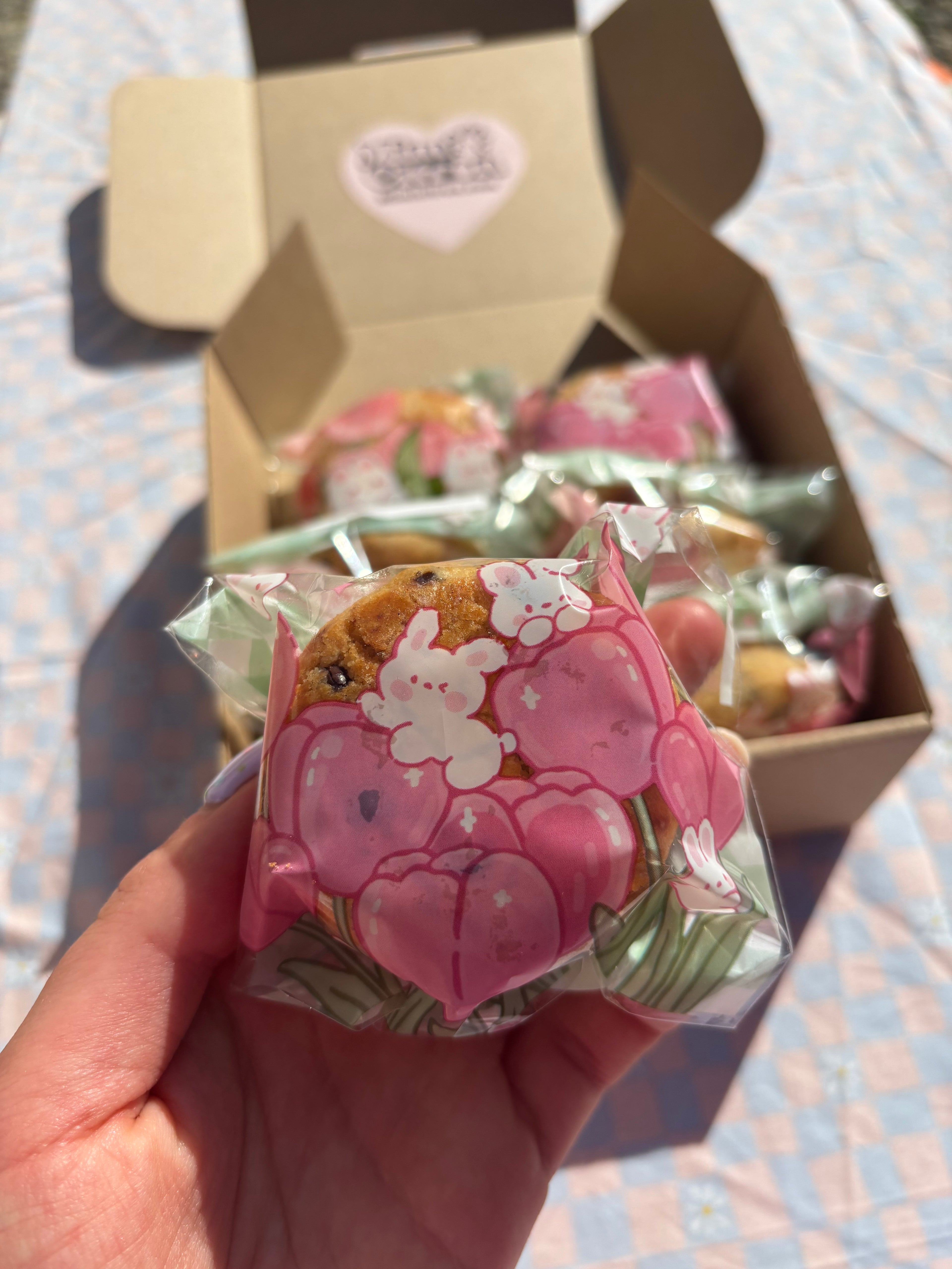 Sablé au chocolat x2