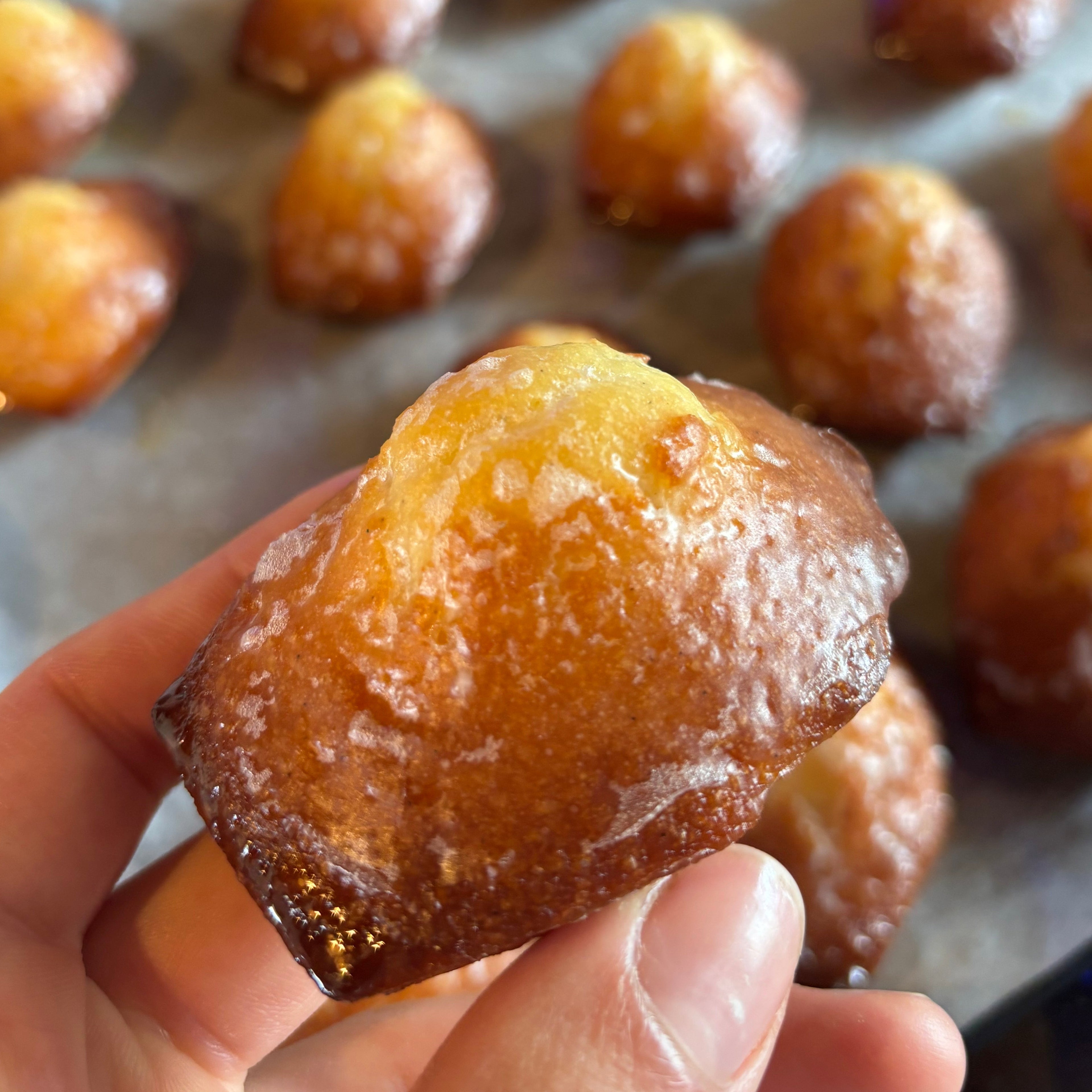 Madeleine X6 pièces